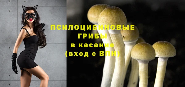 МДМА Белокуриха