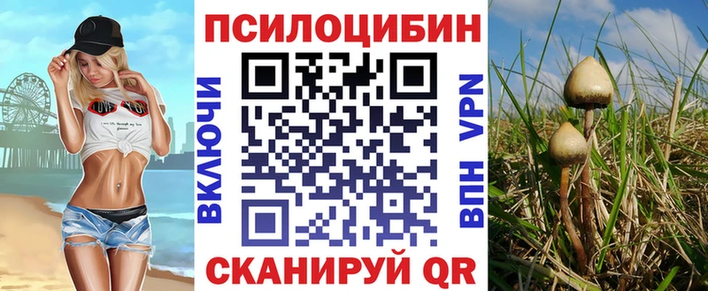 Псилоцибиновые грибы GOLDEN TEACHER  купить закладку  Наволоки 